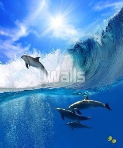 дельфины, море, волна